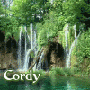 cordykitten: (harts Cordy-Icon)