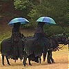 peripety: (lotr-nazgul with brollys)
