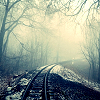 bellflowericons: An abandoned train track winds through the forest ([Three])