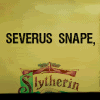 emotional_support_demon: (HP:: AVPM Snape Quote)