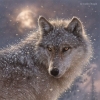 winter_wolf_mi: a light colored wolf standing in the snow with either the moon or a densley cloud covered sun in the background (Default)
