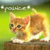 ankhst: (Pounce)