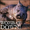 nutmeg3: (Wombat Down! by the_reverand)