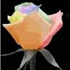 pygment: (Rainbow Rose)