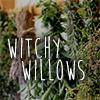 witchywillows: (pic#11697947)