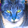 feng_shui_house: Blue tabby cat (Cat Blue)