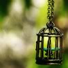 shameless2shoes: Fake bird in a tiny cage necklace (Caged)