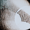 beknight: ([ bvs ] 72.)