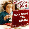 jesse_the_k: Criminal Mind's Hetty frowns at her laptop, labelled "Situation Critical: much more tea needed" (critical send more tea)