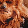 just_ann_now: (Star Wars: Chewie)