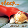 katster: (sleepy)