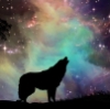 bbwn: A howling wolf on a galaxy background (galaxy, wolf)