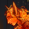 umbrastaff: ([6])