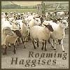 sffan: (G - Roaming Haggises)