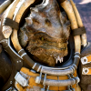 drack: (nakmor drack)
