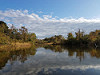 grundyscribbling: photo of autumn in the wetlands (seasonal - creek)