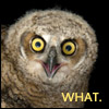 sheron: what! helicarriers! (what)