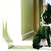 got_swagger: (G_S:  Boston Terrier!)