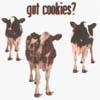 bitty: (cookies)