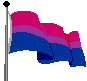 binne: a red, purple, and blue striped flag (bi pride flag)
