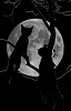 feles_lumine_lunari: (Default)