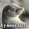 alba_longa: (ласты)