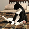 cakemage: (Sit like a fucking lady)