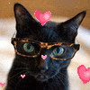 gwendraith: (cat specs hearts)