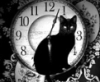 thecatlady: (pic#11849801)