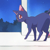lunarguardian: (Just walking around)