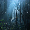 mist_mods: (dark woods)