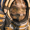 settiai: (Drack -- settiai)