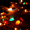 mystical_journey: (Christmas-Lights On Tree)