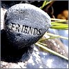 syderia: friends stone (friends)