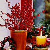 mystical_journey: (Candle-Berries And Candle)