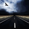 mystical_journey: (Road-Highway Eagle And Moon)