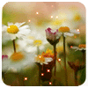 mystical_journey: (Flowers-Waving Daisies)