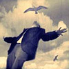 wendelah1: a man staring straight up at a seagull (Suddenly I realized)