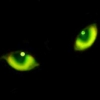 chartreuse_eyed: (cat eyes)