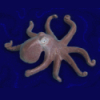 octopus_fool: (Default)