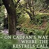 white_raven: (cadfan's way)