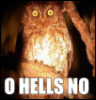 spazzychic: (hells no!!!)