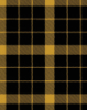 jtt: Raeburn tartan (Default)