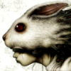 noctiluca: (rabbit)