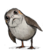 space_puffin: (head tilt porg)