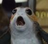 space_puffin: (screaming porg)