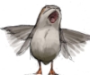 space_puffin: (flailing porg)