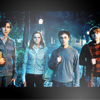 pretty_panther: (hp: the gang)