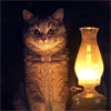 mystical_journey: (Cat-Cat And Lantern)
