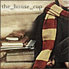 avon7: HP - scarf over books (House cup)